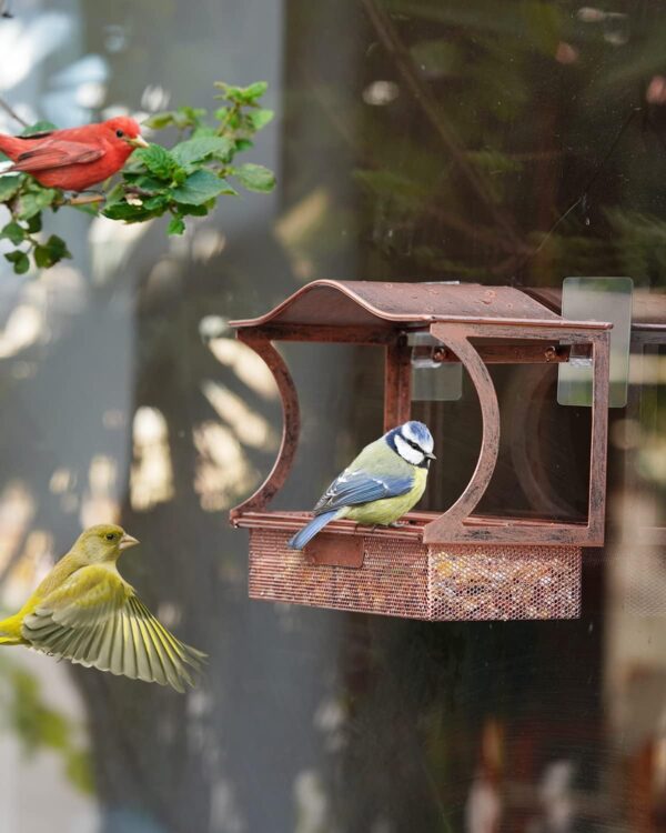 Window Bird Feeder, HouseSapp Sturdy Metal Window Bird Feeder, Window Bird Feeders with Strong Suction Cups, Super Adhesive Sheet×4，Large Outdoor Bird Feeder, Bird Watching Gift, Wild Bird Feeder - Image 9