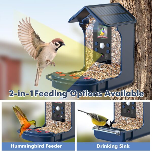 Smart Bird Feeder with Camera, Bozily 1080P HD Bird Feeders Camera Solar Powered, Auto Capture Photo&Video, Bird Camera Waterproof Bird Box Camera, PIR Motion Sense Birds- 32GB TF Card - Image 6