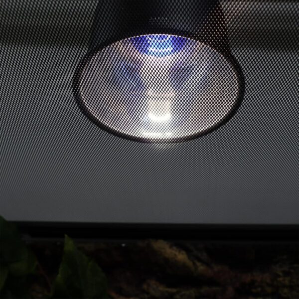AIICIOO Daylight Blue Reptile Lamp UVA Heating Bulb E27 Reptile Heating Light for Turtles Lizards Snakes Bearded Dragons Frogs 40W 2 Pack - Image 7