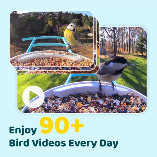 NETVUE Birdfy- Bird Feeder Camera, Bird Feeders Auto Record Videos & Notify When Birds Visit, Bird Box Camera, Bird Camera Wireless, Birthday Gifts, Bird Watching Gifts for Mum/Dad/Bird Lovers - Image 3