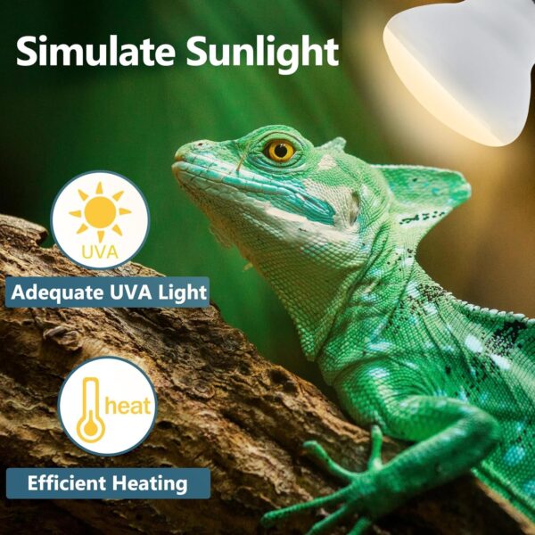 LUCKY HERP 150W Reptile Heat Bulb, Basking Spot Heat Lamp for Reptiles,Vivarium Light for Amphibian, Chicks, Dog Heating Use - Image 4