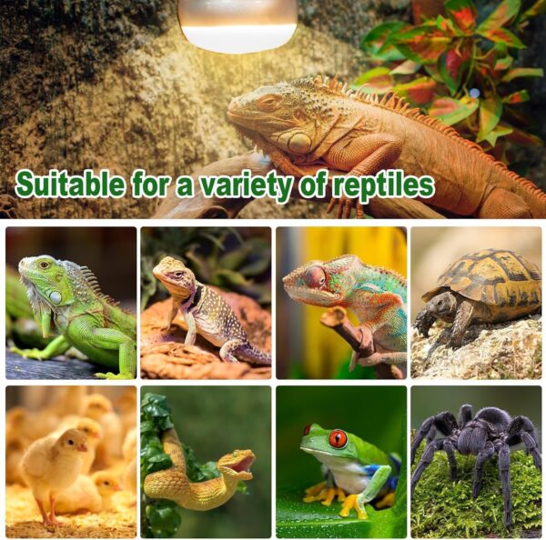 MBMYUCKY Tortoise Heat Lamp 2Pack 100W - Reptile Heat lamp Simulated Natural Sunlight Intense Basking Spot Vivarium Light UVA Heat Lamp for Chicks Reptiles Brooder - Image 6