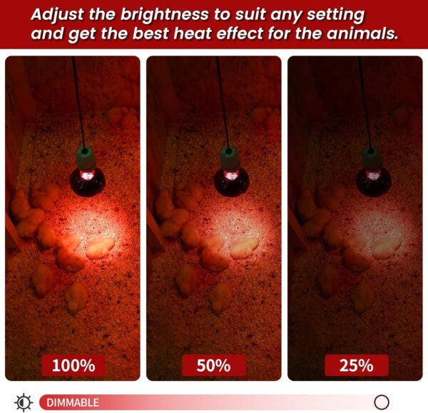 Luxvista E27 Infrared Heat Bulb 250W Dimmable Reptile Heat Lamp Bulb, Edison Screw E27 Infrared Basking Reflector Spotlight Floodlight Incandescent Bulbs, for Chicks, Turtles, Geckos, Snakes, Lizards - Image 5