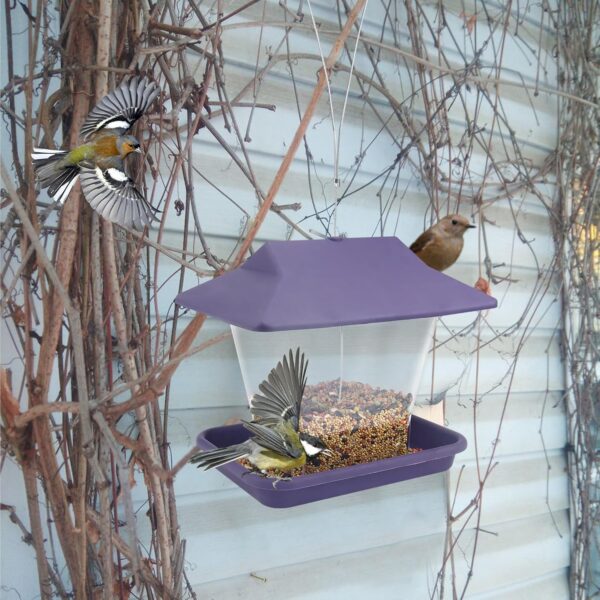 Baanfly Wild Bird Feeders Outside Garden Decoration Hanging Small Bird Seed Feeder Outdoor Pet Supplies Enjoy birding or Protect the birds（Purple） - Image 5