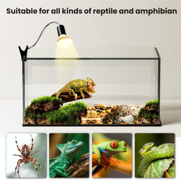Bonlux 100W Heat Bulb for Reptiles, E27 Base Warm White Light Basking Bulb, Dimmable Reptile Heat Lamp Bulb for Reptiles, Chicks, Tortoise, Bearded Dragon, Dogs, Lizard 2Pack - Image 6