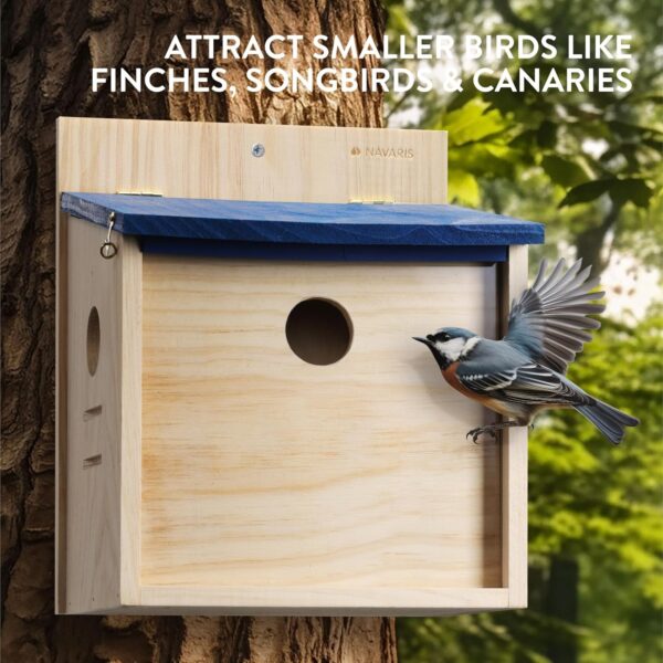 Navaris Wooden Bird Feeder House - Wall Mounted Garden Decor for Birds with Blue Roof - Outdoor Feeding Station with Exchangeable Wood and Clear Front Panels - Image 3