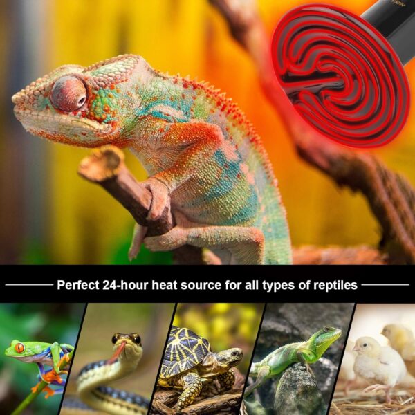 bedee Reptile Heat lamp, 2 Pack 100W Tortoise Heat lamp, E27 Black Infrared Ceramic Heat Lamp Pet Ceramic Heat Bulb for Reptiles/Lizards/Tortoise/Snakes/Chicks - Image 7