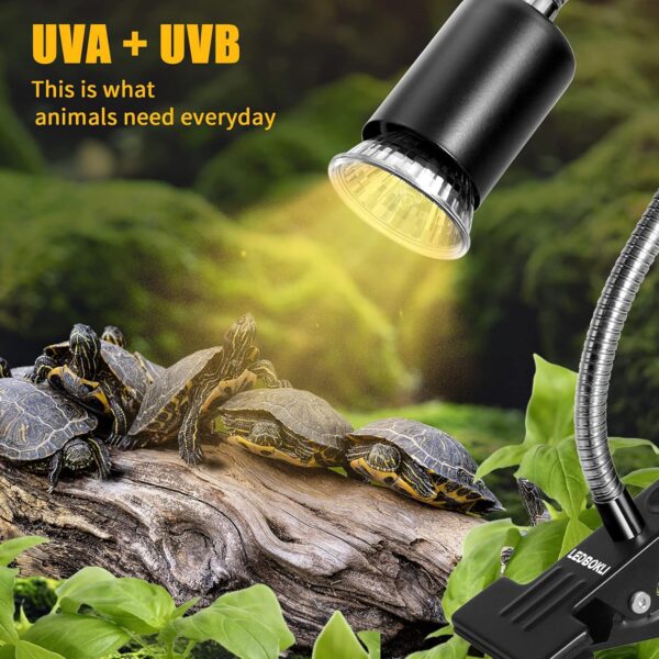 LEDBOKLI Reptile Heat Lamp UVA UVB Tortoise Heat Lamp E27 Holder with Two Heat Bulbs 25W and 50W Halogen Bulb for Turtle Amphibian Reptiles Lizard Snakes - Image 2
