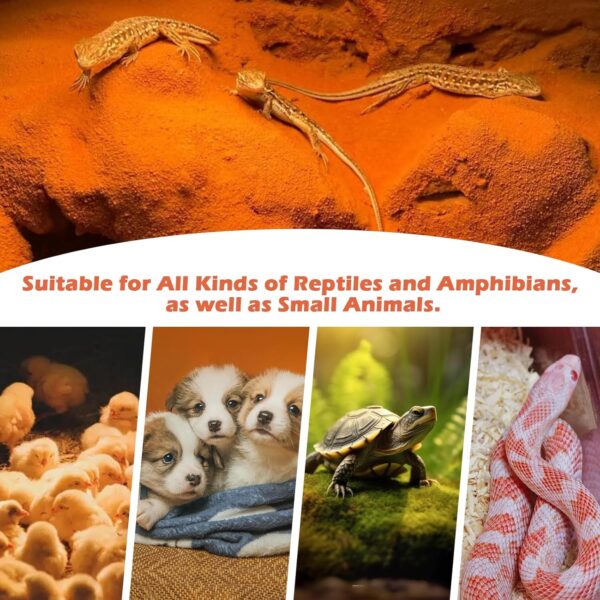 2 Pack 100W Reptile Heat Lamp Bulb E27 Tortoise Basking Light Bulb Dimmable UVA+UVB Daylight Heating Bulb for Vivarium/Lizards/Bearded Dragon/Snakes/Puppies/Chicks/Amphibian - Image 7