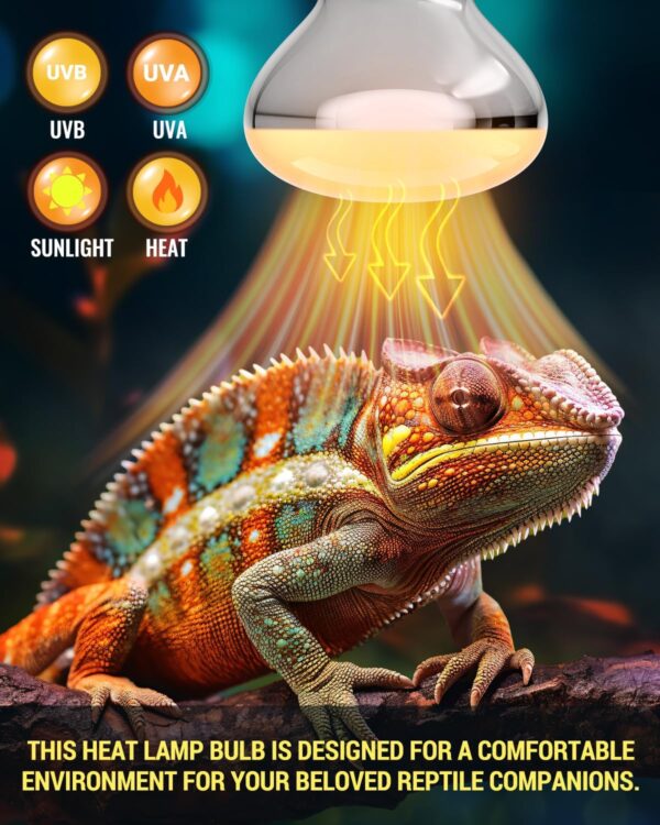 TobeBright UV Basking Lamp B22, 80 Watt Reptile Heat Lamp, UVB UVA Daylight Spot Bulb R63, Provides Heat, Light & UV for Reptile and Amphibian, AC220-240V, 1 Pack - Image 2