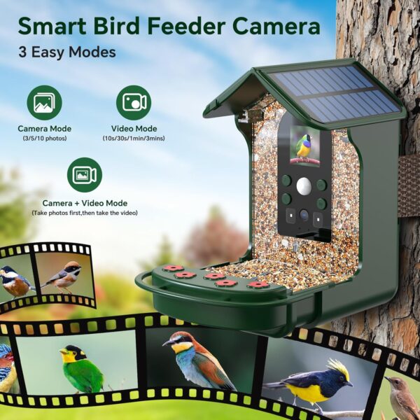 Cozion Smart Bird Feeder Camera, 1080P HD Solar Smart Bird Feeder with Camera, Auto Capture Photo&Video, Bird Camera Waterproof Bird Box Camera, PIR Motion Sense Birds Feeder and 32GB Card - Image 3
