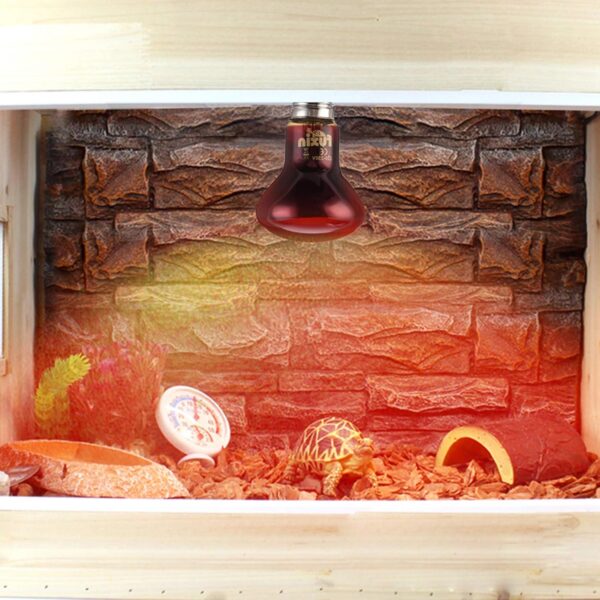 Yolispa Heat Lamp Light Bulb for Reptile Red Lights, Amphibian, Dog,Chicken and Other Animal Heating Use 75W - Image 3
