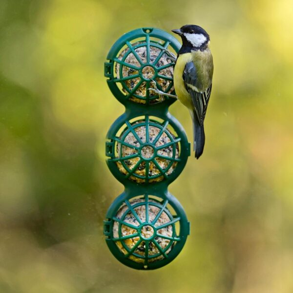 Fat Ball Bird Feeder - Jacobi Jayne® Basketball™ Window Feeder. Small Easy Clean Suet Ball Holder Cage For Wild Birds Only. Pack Of Two Feeders For Suet Balls. Green Suet Bird Feeder. - Image 4