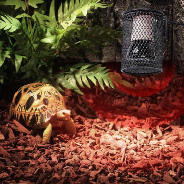 MUALROUS Reptiles Ceramic Heating Lamp with Guard 2 Pcs 100W 50W Terrarium Reptile Heat Bulb E27 Infrared Ceramic Heat Lamp Pet Ceramic Heat Bulb for Reptiles Lizards Tortoise Snakes Chicken - Image 7