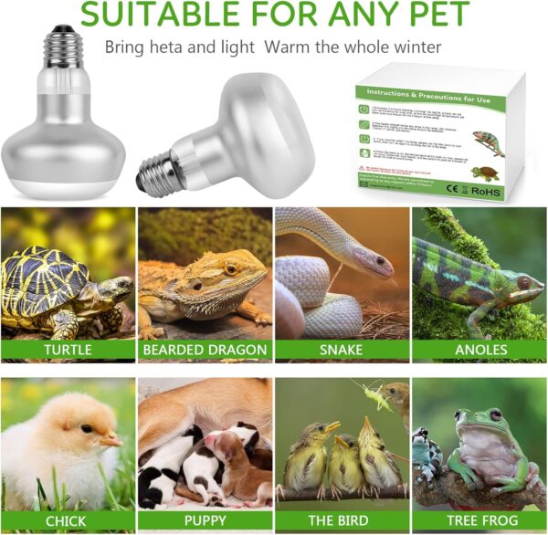 IOOTSEA 2 pcs Intense Basking Spot, Reptile Heat Lamp Terrarium Heater Light Bulb Socket E27 for Animals, Dimmable Daylight Bulb Sun Glow Lamp Turtles, Lizards (75, watt_Hours) - Image 6