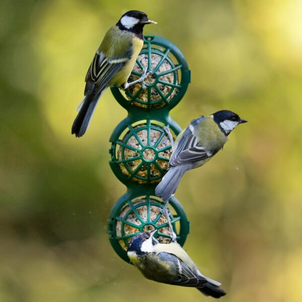 Fat Ball Bird Feeder - Jacobi Jayne® Basketball™ Window Feeder. Small Easy Clean Suet Ball Holder Cage For Wild Birds Only. Pack Of Two Feeders For Suet Balls. Green Suet Bird Feeder. - Image 2