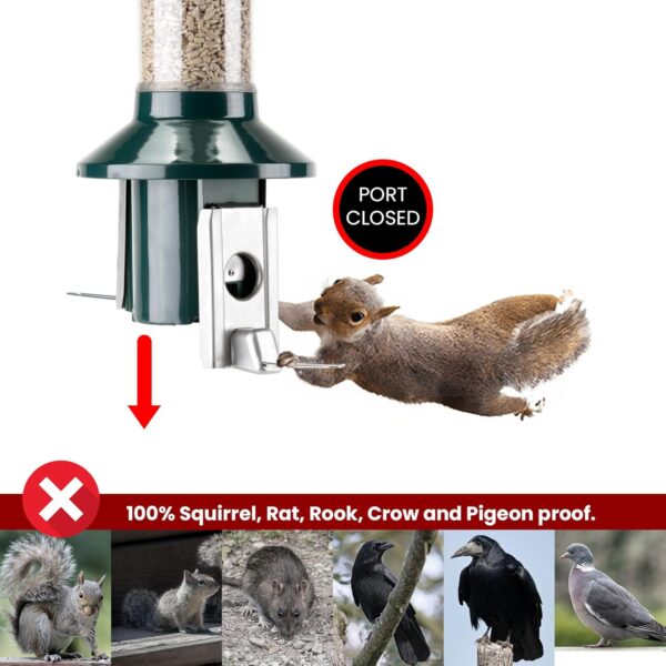 Squirrel Proof Wild Bird Feeder 2l Capacity - Roamwild PestOff 2.0 (Mixed Seed/Sunflower Heart Feeder) - Image 3