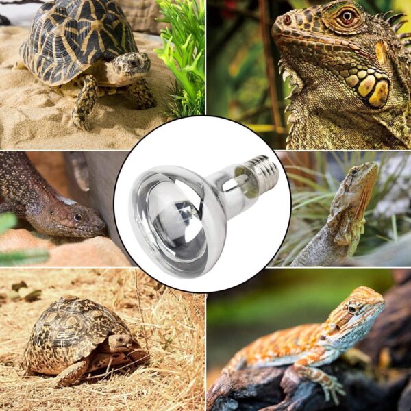 ANCLLO 2pcs Transparent Reptile Heating Bulbs, Durable Infrared Heat Lamp Warming Light Bulb Pet Light for Reptile and Amphibian Lizard Tortoise Spider Snake Chameleon 220-230V(75W) - Image 6