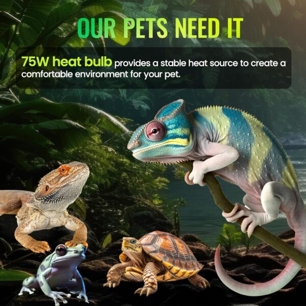 Lamptobe Heat Bulb for Reptiles 75w, PAR30 E27 Reptile Heat Lamp Bulb, Dimmable Basking Bulb for Tortoise, Bearded Dragon, Chick - Image 6