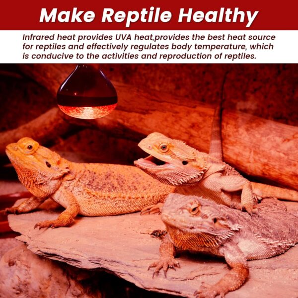 Luxvista E27 Infrared Heat Bulb 250W Dimmable Reptile Heat Lamp Bulb, Edison Screw E27 Infrared Basking Reflector Spotlight Floodlight Incandescent Bulbs, for Chicks, Turtles, Geckos, Snakes, Lizards - Image 3