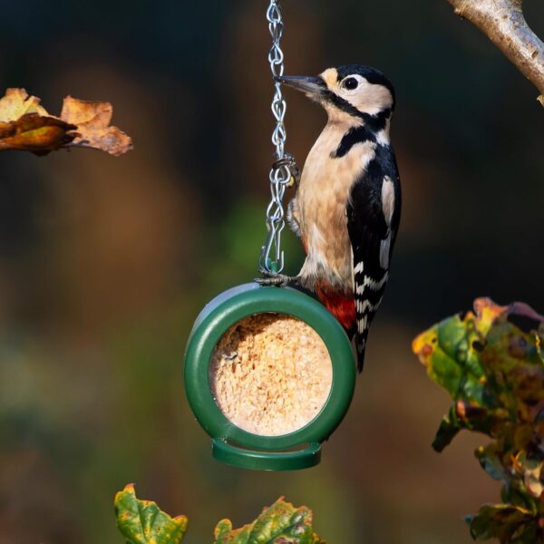 Hanging Flutter Butter® Feeder For Garden and Wild Birds - Jacobi Jayne® Flutter Butter® Feeder Filled with 140g Original Refill Pod - The Perfect Feeder to Initiate Your Flutter Butter Feeding - Image 3