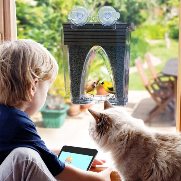 Roamwild Beautiful Arch Window Wild Bird Feeder with Huge 4LBS Capacity & Ultra Strong Dual Suction Technology for Outdoors with Drainage Holes & Window Protectors - Image 3