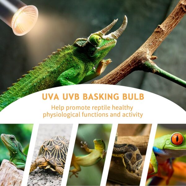 EASYIVY E27 Reptile Heating Bulb, 50W UVA UVB Turtle Basking Light Bulb Dimmable Tortoise Heat Lamp Bulbs for Bearded Dragon Lizard Snake Gecko Chameleon Amphibian, 4-Pack - Image 2