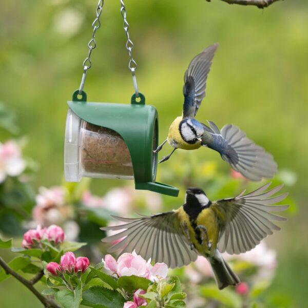 Hanging Flutter Butter® Feeder For Garden and Wild Birds - Jacobi Jayne® Flutter Butter® Feeder Filled with 140g Original Refill Pod - The Perfect Feeder to Initiate Your Flutter Butter Feeding - Image 5