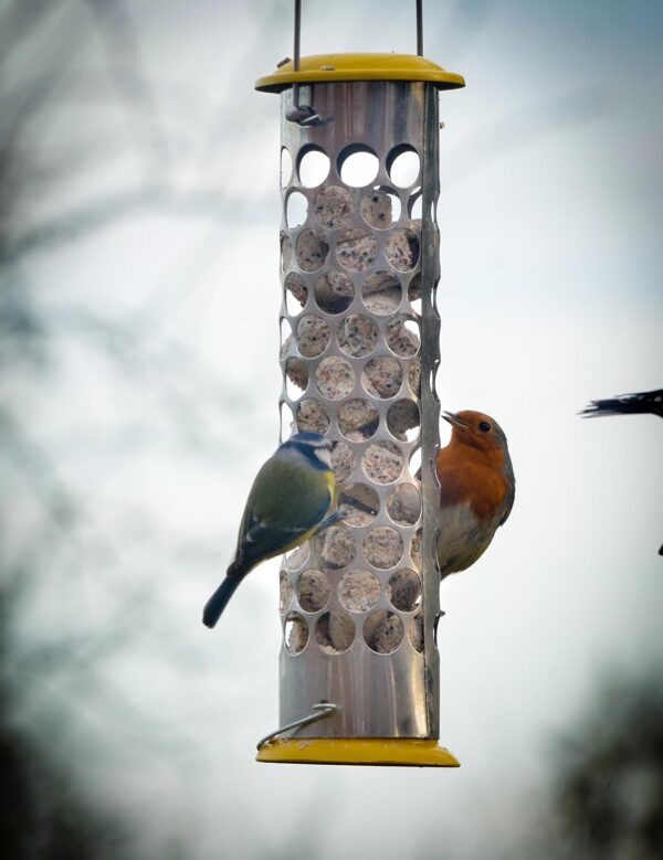 Peckish Daily Goodness Suet Nugget Metal Bird Feeder,Yellow - Image 3