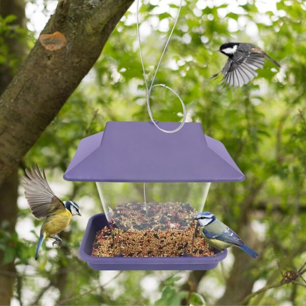 Baanfly Wild Bird Feeders Outside Garden Decoration Hanging Small Bird Seed Feeder Outdoor Pet Supplies Enjoy birding or Protect the birds（Purple） - Image 6
