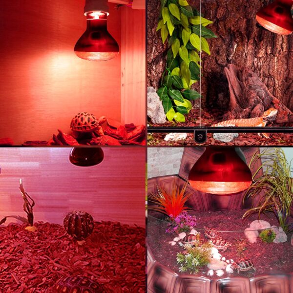 DoRight E27 Reptile Infrared Night Heating Bulb 50W Dimmable Backlight, Infrared Heat Lamp, Basking Spot Light Bulb, for Bearded Dragon, Lizard, Tortoise, Reptiles & Amphibians - Image 5