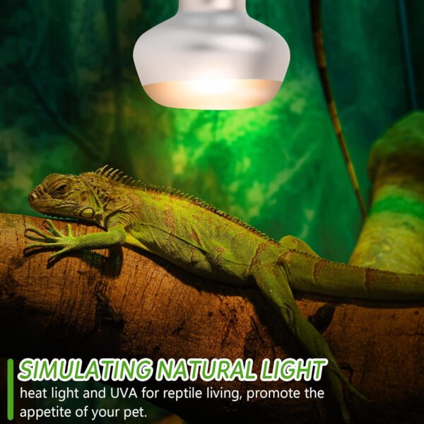 IOOTSEA 2 pcs Intense Basking Spot, Reptile Heat Lamp Terrarium Heater Light Bulb Socket E27 for Animals, Dimmable Daylight Bulb Sun Glow Lamp Turtles, Lizards (75, watt_Hours) - Image 7