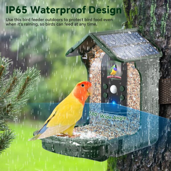 Cozion Smart Bird Feeder Camera, 1080P HD Solar Smart Bird Feeder with Camera, Auto Capture Photo&Video, Bird Camera Waterproof Bird Box Camera, PIR Motion Sense Birds Feeder and 32GB Card - Image 6