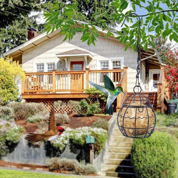 Fzyisw 4Pcs Fat Ball Feeder, Bird Feeders Hanging, Metal Fat Ball Bird Feeder Holder with 4 S-Shaped Hooks, Fat Ball Feeder for Feeding Outdoor Garden Wildlife Birds - Image 5