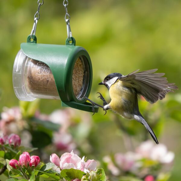 Hanging Flutter Butter® Feeder For Garden and Wild Birds - Jacobi Jayne® Flutter Butter® Feeder Filled with 140g Original Refill Pod - The Perfect Feeder to Initiate Your Flutter Butter Feeding - Image 4