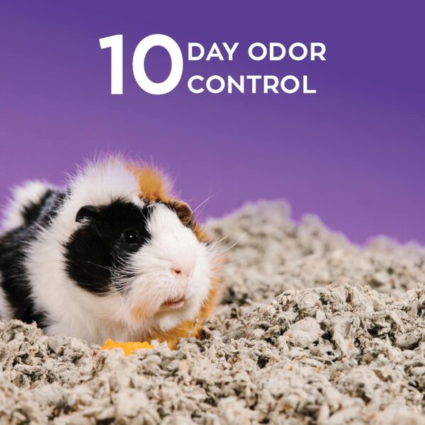 Carefresh Dust-Free Natural Paper Small Pet Bedding with Odor Control, 42L - Image 3