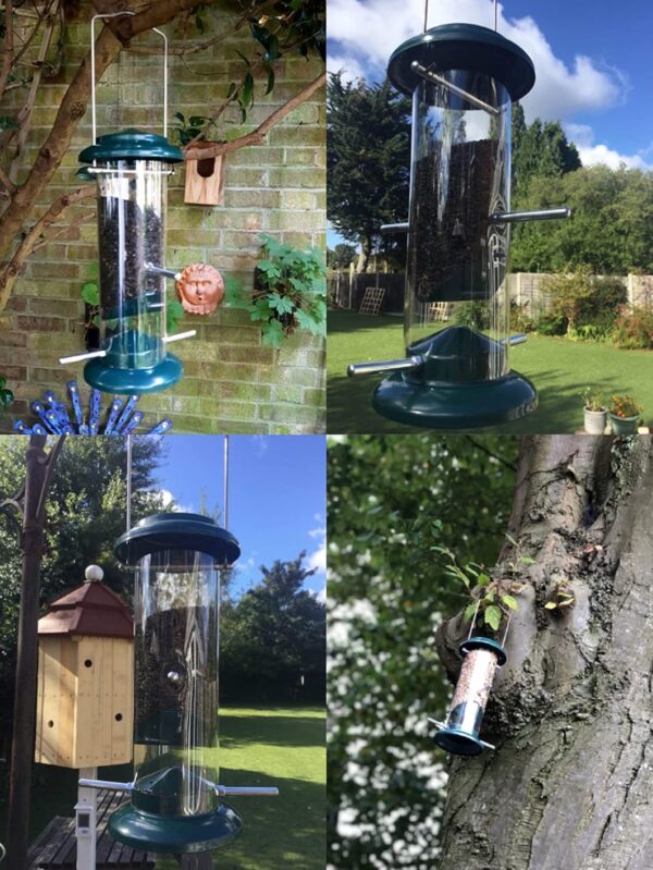 iBorn Metal Bird Feeder Nyger Niger Seed Feeder for Finch Goldfinch Thistle Seed Wild Bird Feeder Hanging Metal 8 Inch Green - Image 7