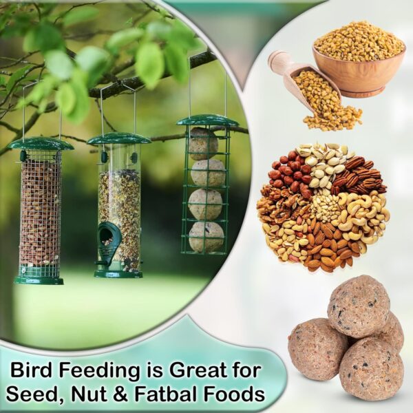 Zentea Bird Feeders - (3 pack) Metal Hanging Station for Small Birds - Crow, Pigeon, Squirrel proof Window, Garden, Backyard Hanging - Wild Bird Feeders for Nuts, Seeds, Fat Balls - Green - Image 7
