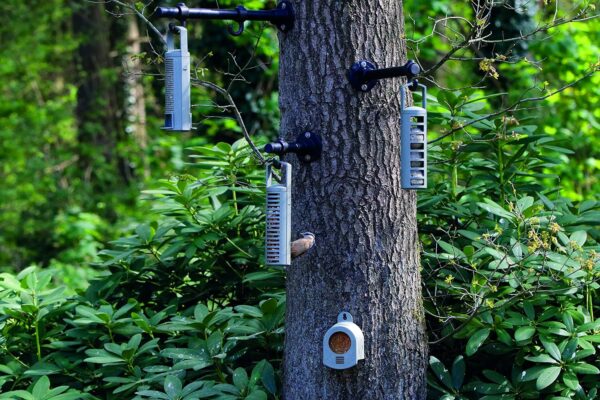 Rosewood Recycled Seed, Peanut and Fat Ball Feeder Set for Wild Bird Food, 25554, Green, Pcak of 3 - Image 6