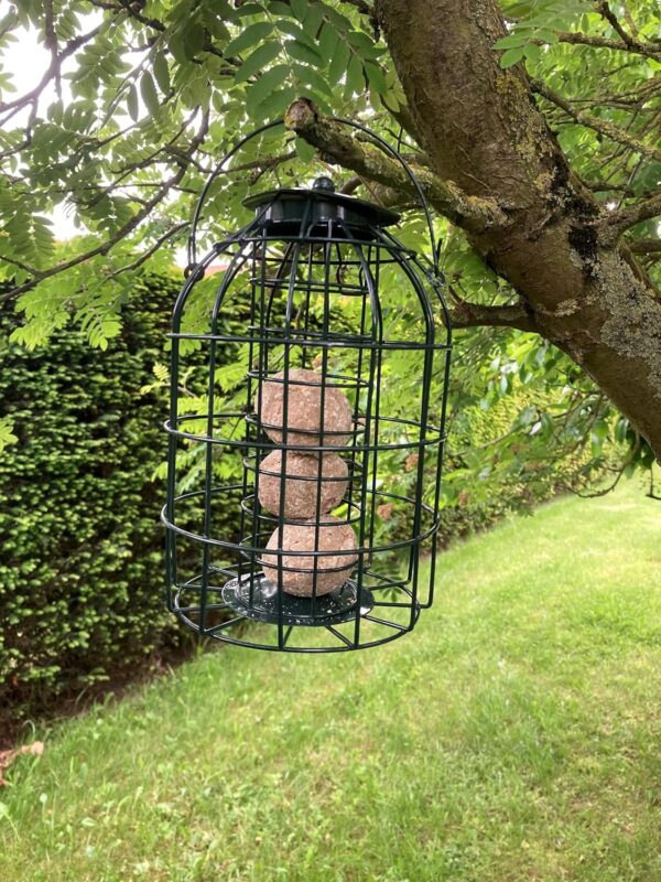 Oakdale Squirrel Resistant Fatball Bird Feeder - Image 3
