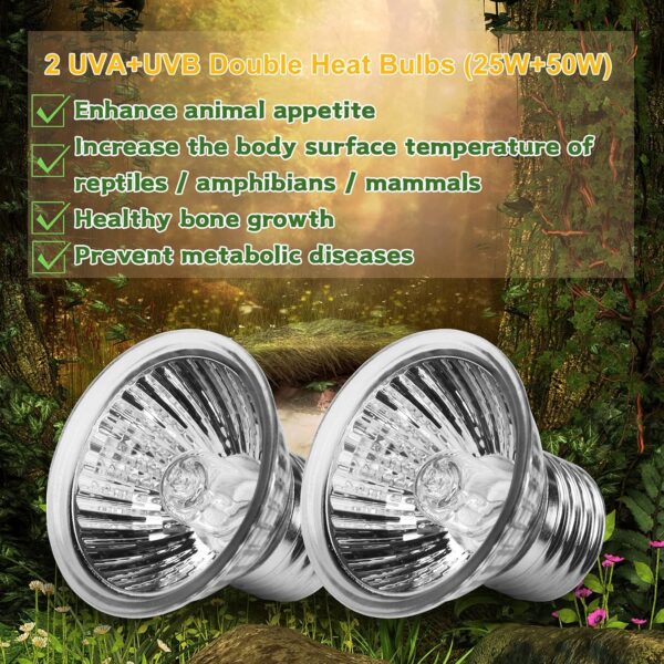 LEDBOKLI Reptile Heat Lamp UVA UVB Tortoise Heat Lamp E27 Holder with Two Heat Bulbs 25W and 50W Halogen Bulb for Turtle Amphibian Reptiles Lizard Snakes - Image 5