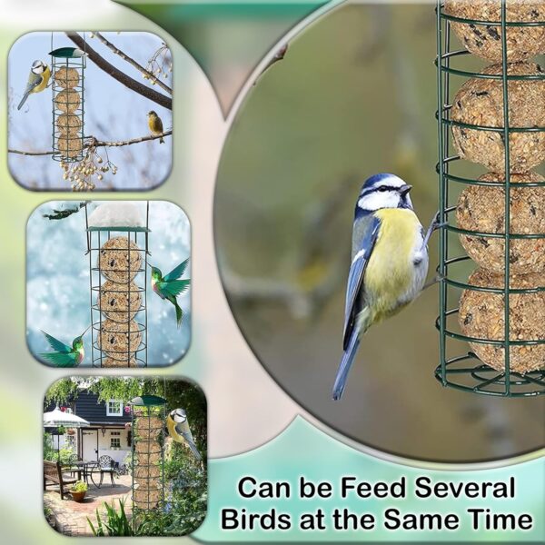 Zentea Bird Feeders - (3 pack) Metal Hanging Station for Small Birds - Crow, Pigeon, Squirrel proof Window, Garden, Backyard Hanging - Wild Bird Feeders for Nuts, Seeds, Fat Balls - Green - Image 4