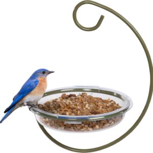 Mealworm and Robin bird feeder - Jacobi Jayne® Easy-Clean Hanging Treat Dish - Ideal for Bird Seed, Mealworms & table scraps - Hanging bird feeder for wild bird food (Hanging Treat Dish)