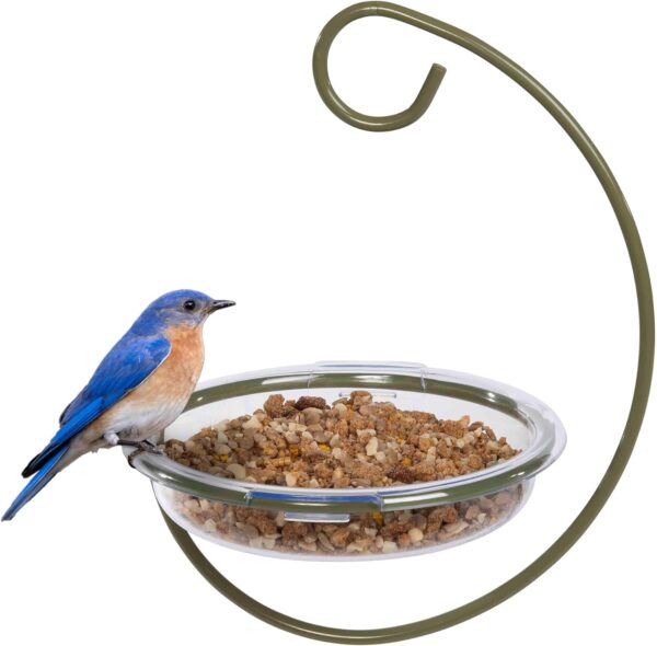 Mealworm and Robin bird feeder - Jacobi Jayne® Easy-Clean Hanging Treat Dish - Ideal for Bird Seed, Mealworms & table scraps - Hanging bird feeder for wild bird food (Hanging Treat Dish)