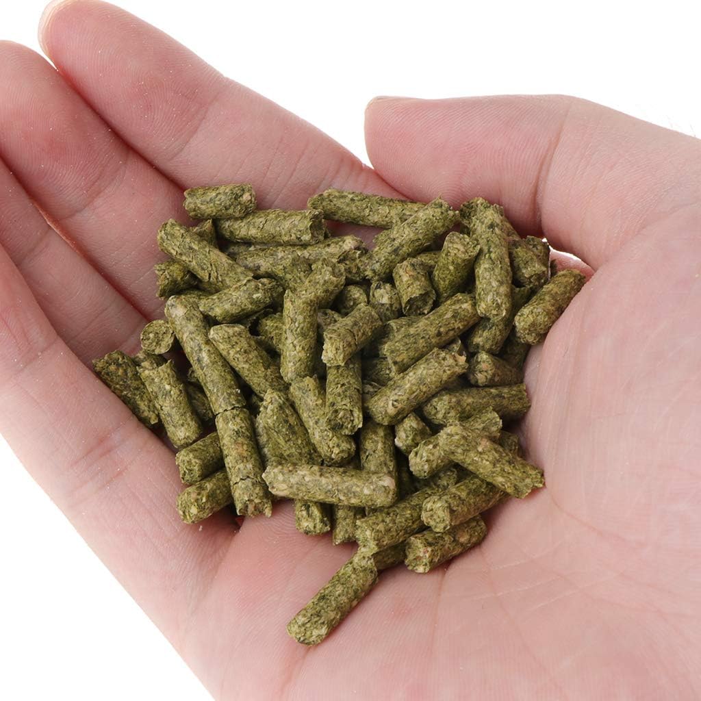 Xuancai Spinach-Sticks Feed Fish Food Sinking Diet For Bottom Feeding Fish 1.2oz Blended-Diet For Crystal Shrimp - Image 7