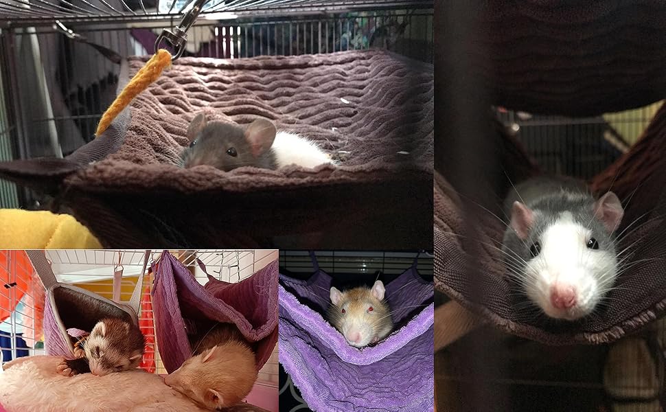 rat hammocks set guinea pig hammock ferret hammock small animal hammock rat tunnels rat bed