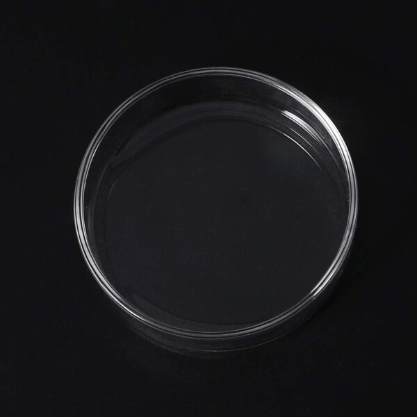 chenpaif Clear Glass Shrimp Food Round Dishes Small Fish Feeding Bowl Ornamental Supplies - Image 7