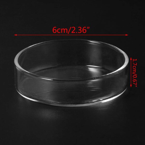 chenpaif Clear Glass Shrimp Food Round Dishes Small Fish Feeding Bowl Ornamental Supplies - Image 4