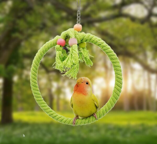 2 PCS Kuivoo Bird Swing Cotton Rope Ring, Bird Parrot Perches for Cage,Cage Hanging Bite Resistance Toys,Bird Stand Soft Ring Bed for Budgie,Cockatiel,Canary,Parakeet,Love-bird,Conures - Image 5