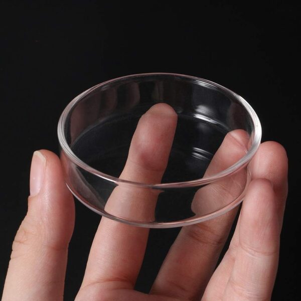 chenpaif Clear Glass Shrimp Food Round Dishes Small Fish Feeding Bowl Ornamental Supplies - Image 3